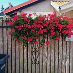 Pol Domu Nad Jeziorami Apartamento *